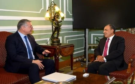 عبد العاطي وبدوي يعززان التعاون لجذب الاستثمارات الأجنبية في قطاع البترول