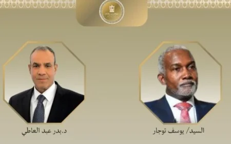 وزير الخارجية يستعرض خطط تعزيز التعاون الثنائي بين مصر ونيجيريا