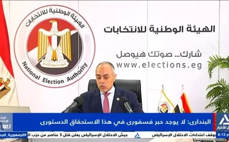 الهيئة الوطنية للانتخابات تؤكد عدم استخدام الحبر الفسفوري في الاستحقاق الدستوري المقبل