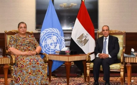 عبد العاطي يناقش طرق تعزيز التسوية السياسية مع الممثلة الأممية في ليبيا