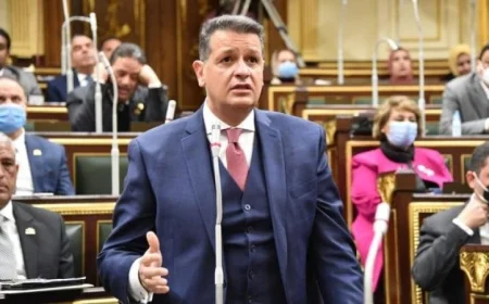 رئيس لجنة حقوق الإنسان بالنواب يؤكد أن الإقبال الكبير على الانتخابات يعكس وعي المصريين