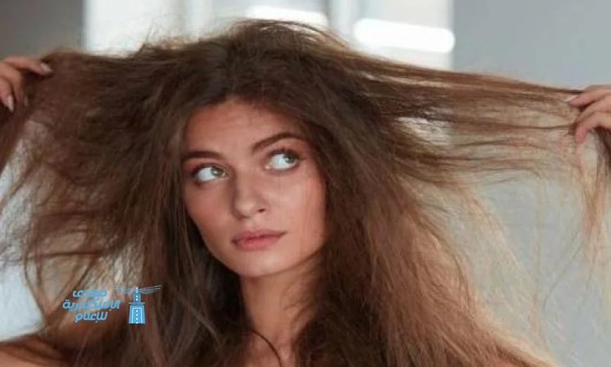 طرق مميزة للتغلب على تلف الأطراف وتقصف الشعر بفعالية