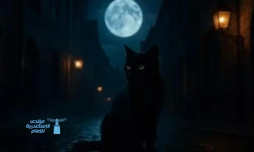 بلدة إسبانية تتخذ إجراءات طارئة ضد القطط السوداء خلال احتفالات الهالوين