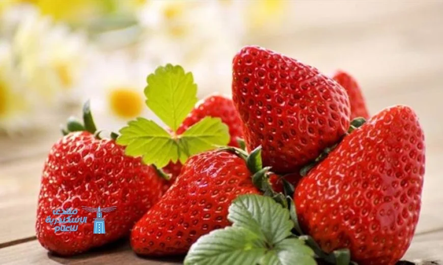 خبير يكشف عن أسوأ فاكهة يجب تجنبها رغم فوائدها المذهلة