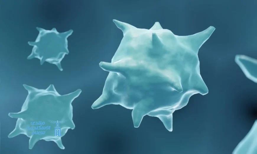 الكهرباء تعيد برمجة الخلايا المناعية مما يسرع من عملية الشفاء