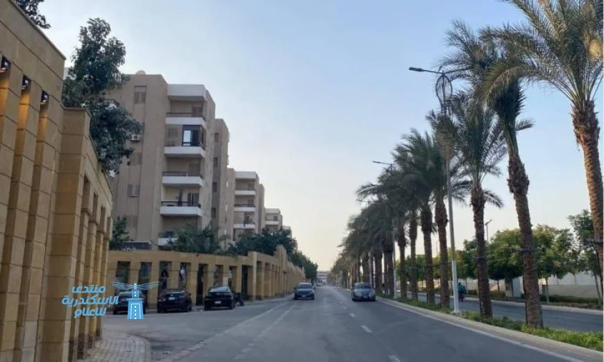 منال عوض تعلن عن مشروع تطوير الطرق والشوارع المحيطة بالمتحف بميزانية 519 مليون جنيه