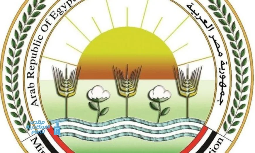 الزراعة تعزز إجراءات مراقبة المزارع والأسواق وتستمر في حملة تحصين الماشية