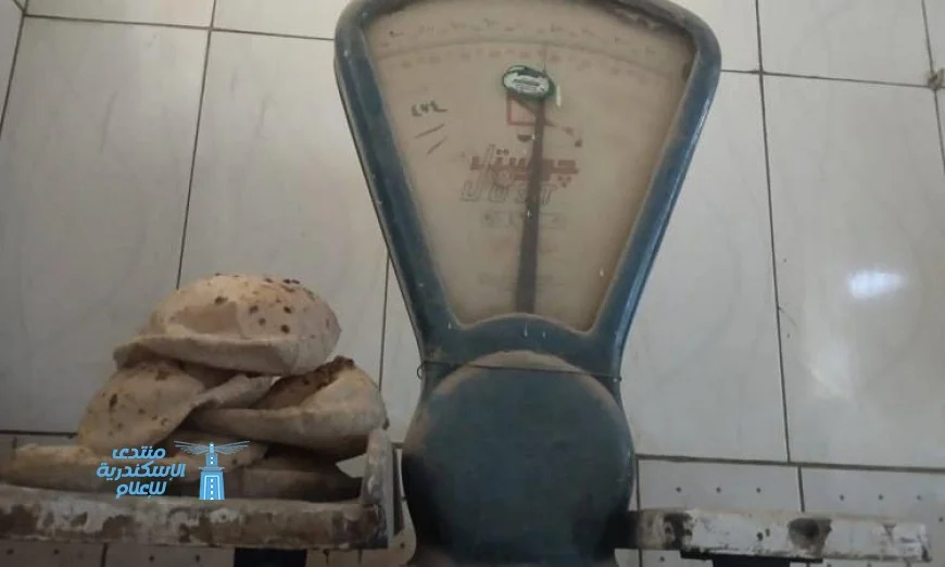 محافظ القليوبية يكشف عن ضبط 76 مخالفة خلال حملات تموينية شاملة