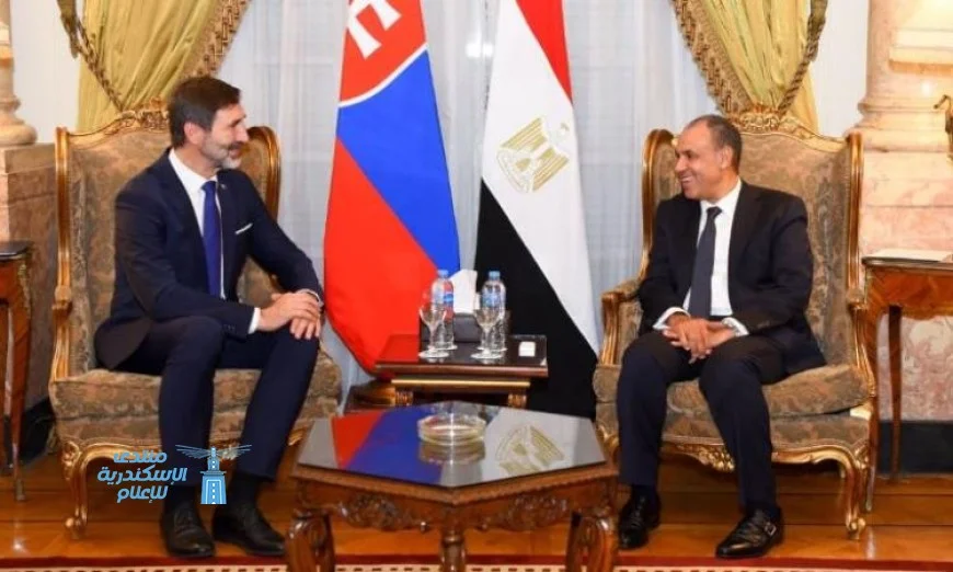 مصر وسلوفاكيا تعززان التعاون الاقتصادي والتجاري من خلال العمل المشترك