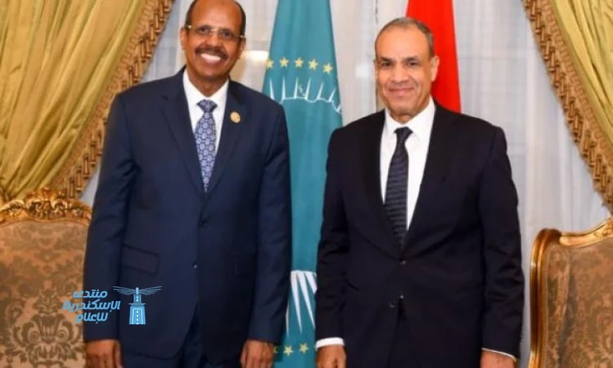 وزير الخارجية المصري يعرب عن دعم مصر لجهود الاتحاد الأفريقي في حل النزاعات الأفريقية