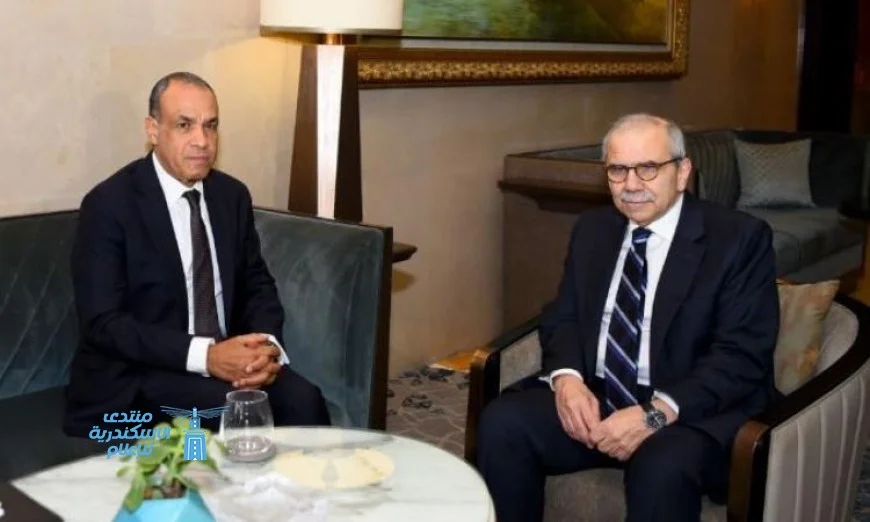 وزير الخارجية يعبر عن سعادته بتطور العلاقات المصرية اللبنانية
