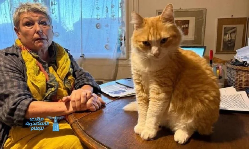 غرامة مالية على سيدة بسبب تسلل قطتها إلى حديقة جيرانها