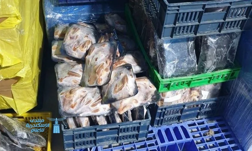 ضبط أكثر من 8 أطنان من الدواجن والأسماك المجمدة المنتهية الصلاحية في محافظة الشرقية