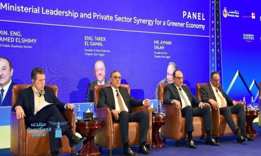 رئيس هيئة الاستثمار يكشف عن بدء إنتاج ضخم للألواح الشمسية في مصر خلال الربع الأول من 2026