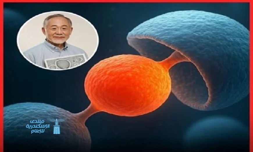 اليابان تكشف عن سر الخلود الخلوي وتأثيره على المستقبل