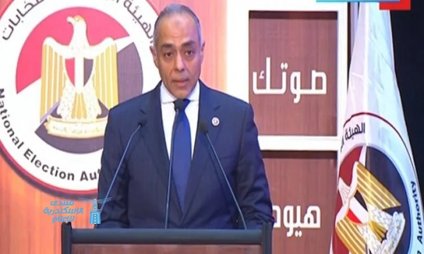 فيديو يشرح حقوق المصريين بالخارج في التصويت وفقًا للهيئة الوطنية للانتخابات