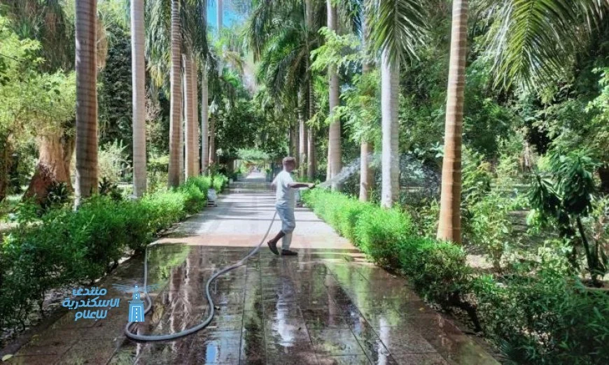 استكشف 820 نوعا نادرا من النباتات في جزيرة خضراء بأسوان تنتظر السائحين