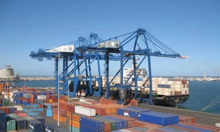 تزايد نشاط ميناء دمياط بزيادة 29 سفينة للحاويات والبضائع العامة