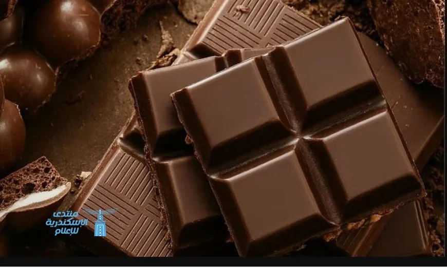 دراسة جديدة تكشف عن فوائد الشوكولاتة الداكنة في تعزيز الذاكرة