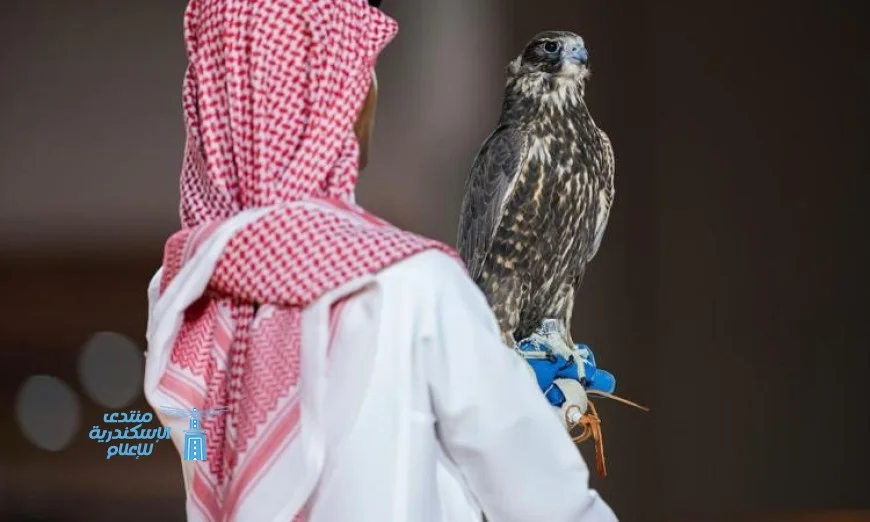 شاهين فرخ يباع في الليلة الـ 22 لمزاد نادي الصقور السعودي 2025 بأعلى الأسعار