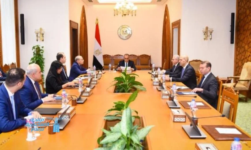 وزير الخارجية يبرز أهمية تعزيز وتطوير علاقات مصر مع الدول الآسيوية