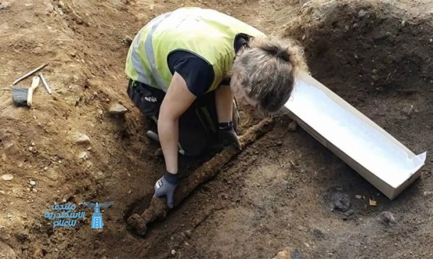 اكتشاف سيف حديدي يعود للقرن السابع في مقبرة محارب مجري ancient sword discovered in a 7th-century warrior grave in Hungary