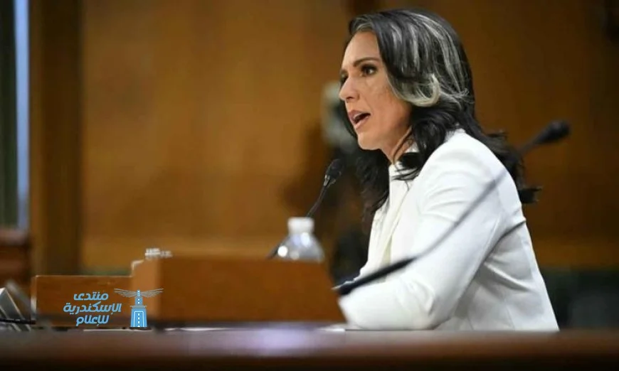 مديرة الاستخبارات الأمريكية تتوجه إلى إسرائيل لمناقشة جهود وقف إطلاق النار في غزة