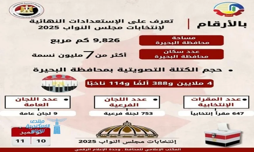 جولة ميدانية لرصد مقار اللجان الانتخابية في البحيرة قبيل انتخابات مجلس النواب