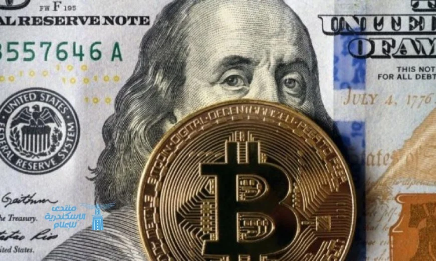 بيتكوين تنحدر دون 100 ألف دولار للمرة الأولى منذ يونيو الماضي