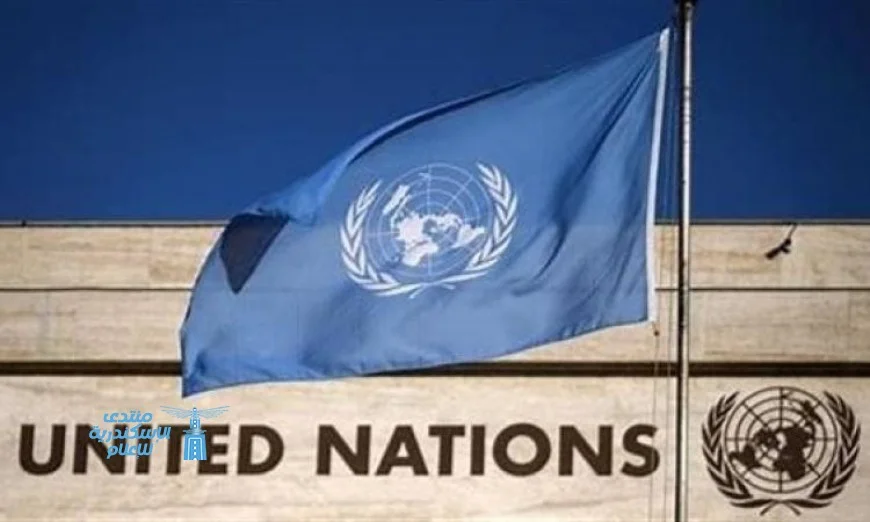 الأمم المتحدة تكشف استمرار انتهاكات قوات الدعم السريع في مدينة الفاشر