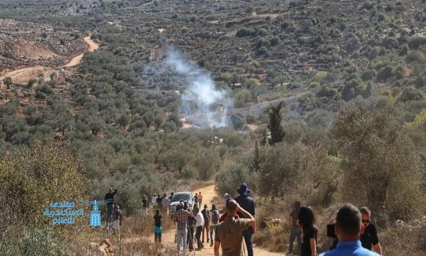 مستوطنون إسرائيليون يعتدون على قاطفي الزيتون في عقربا جنوب نابلس