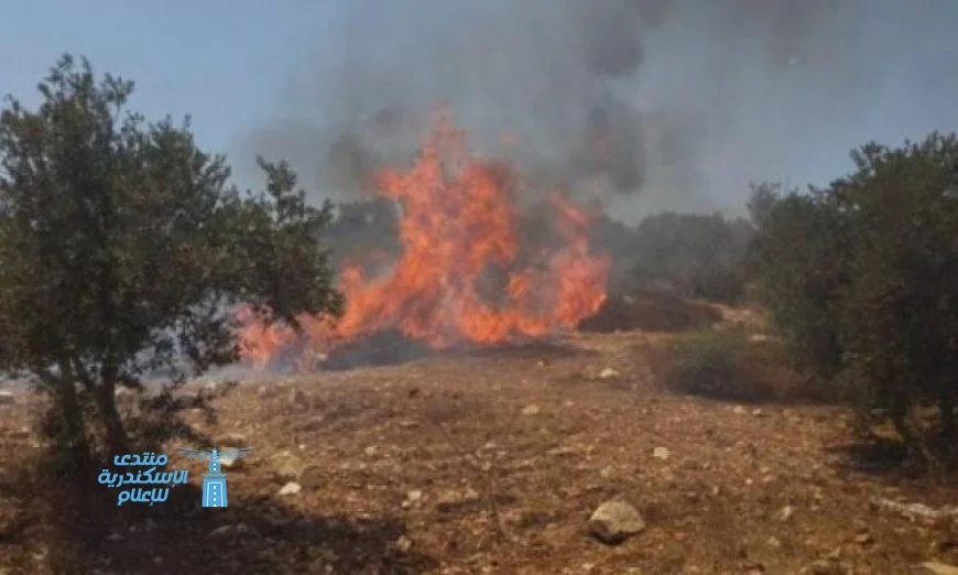 اقتحام الاحتلال لمخيم الفوار وتعرض الأراضي الزراعية جنوب نابلس للنيران من مستوطنين