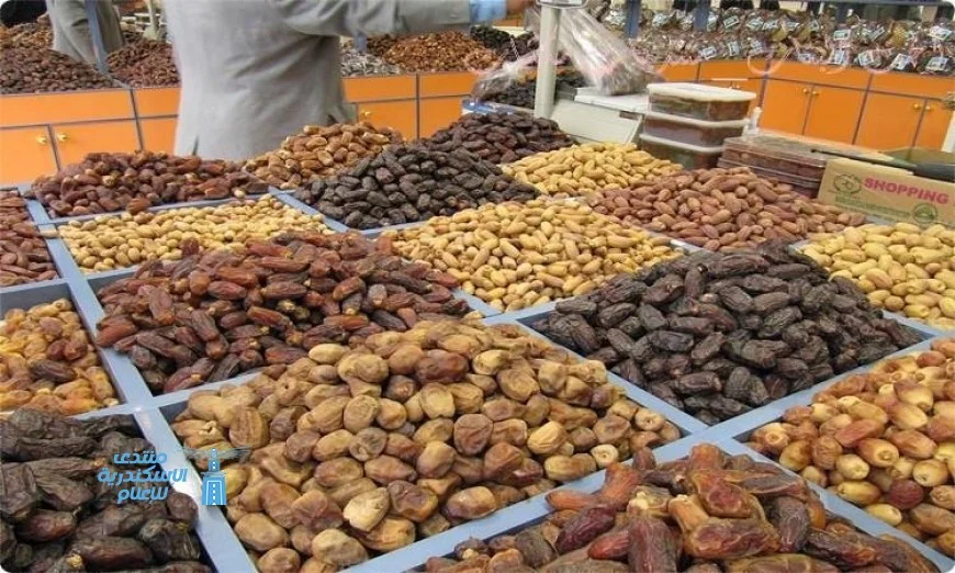 المهرجان الدولي الثامن للتمور المصرية ينطلق في الواحات البحرية بأجواء احتفالية مميزة