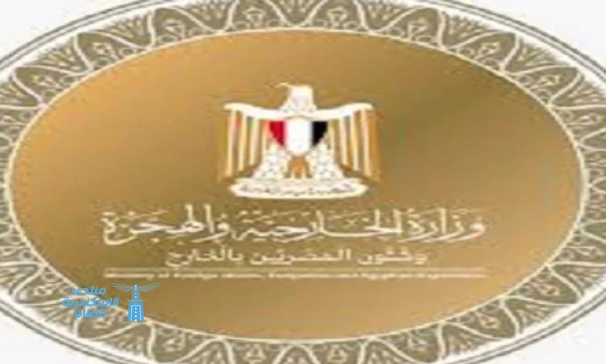 الخارجية المصرية تؤكد جاهزية البعثات في الخارج للانتخابات النيابية القادمة