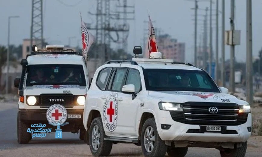 الصليب الأحمر يستعيد رفات إسرائيلي محتجز لدى حماس في غزة