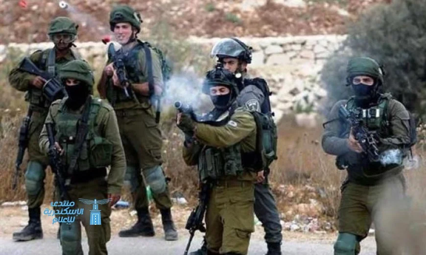 إصابة فلسطيني برصاص الاحتلال واحتراق أشجار الزيتون في غرب جنين