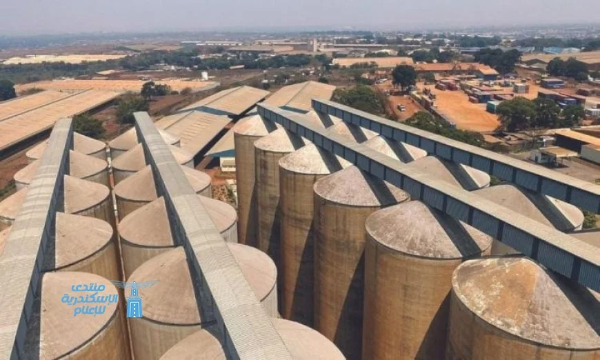 مالاوي تفرض قيودا صارمة على صادرات الحبوب لحماية المخزونات الوطنية