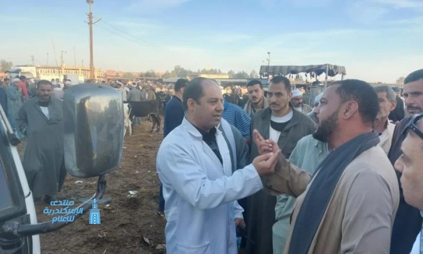 الزراعة تعزز جهودها في مراقبة أسواق الماشية لضمان استقرار الوضع الوبائي