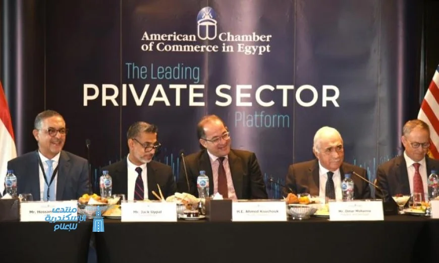 الحزمة الثانية من التسهيلات الضريبية تعلنها المالية في نوفمبر المقبل