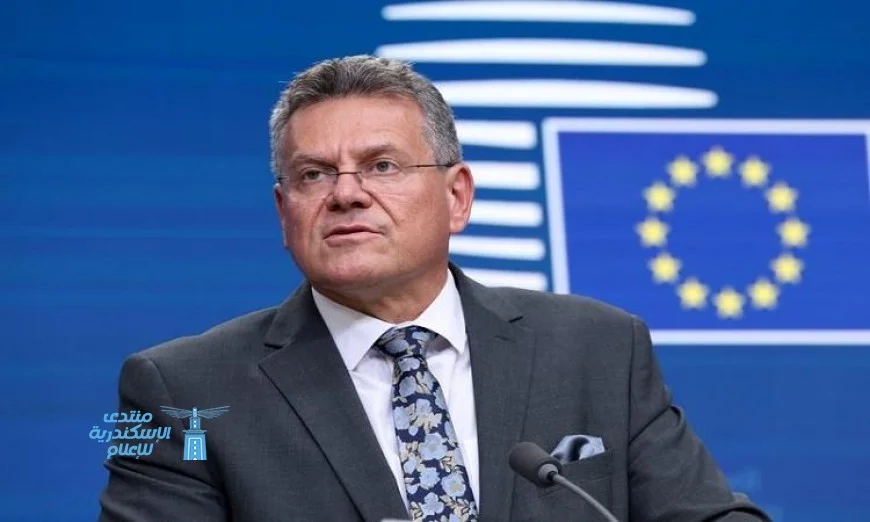 الاتحاد الأوروبي يعلن عن تأكيد الصين استئناف تصدير رقائق نكسبيريا