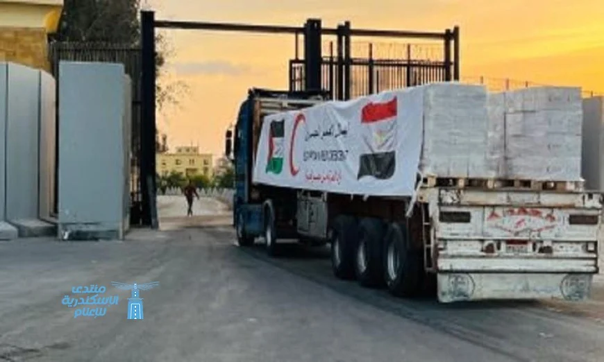 وزيرة خارجية كولومبيا تؤكد دعم بلادها لدور مصر الفعال في حل أزمة غزة