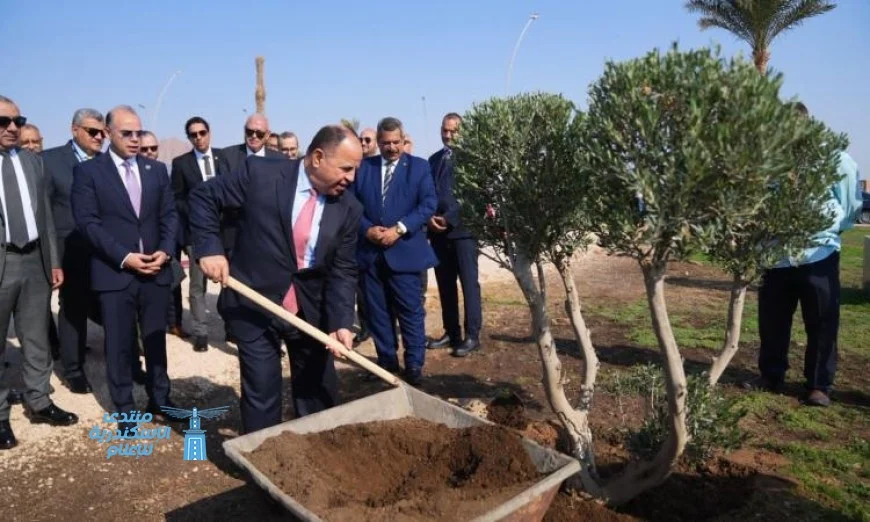 رئيس هيئة الرقابة المالية مع قيادات قطاع التأمين يزرعون الأشجار في شرم الشيخ لتعزيز البيئة