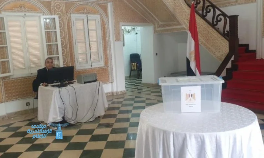 اليوم الثاني من تصويت المصريين في نيوزيلندا للانتخابات البرلمانية 2025