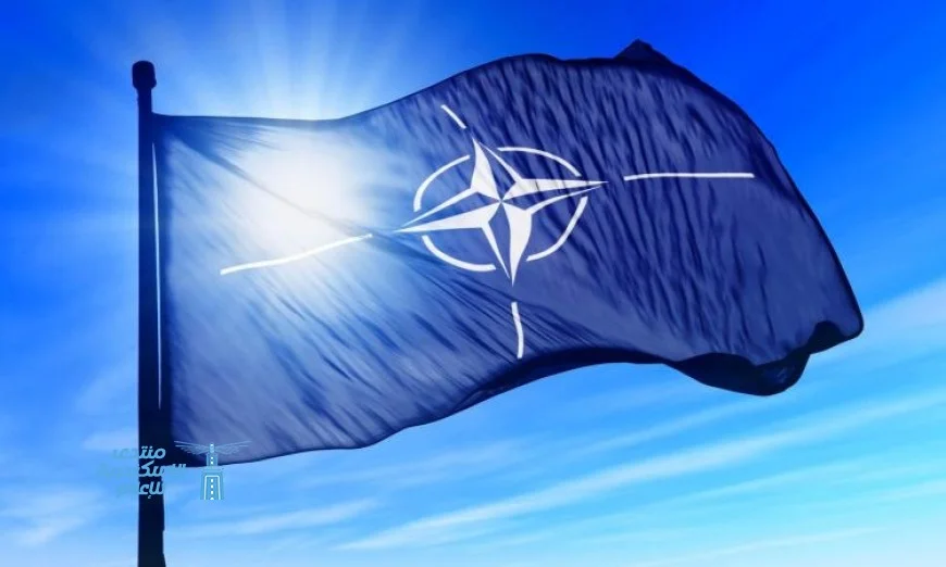 ناتو يعزز الشراكة مع الشحن البحري العالمي في تدريبات ديناميك ماستر 25