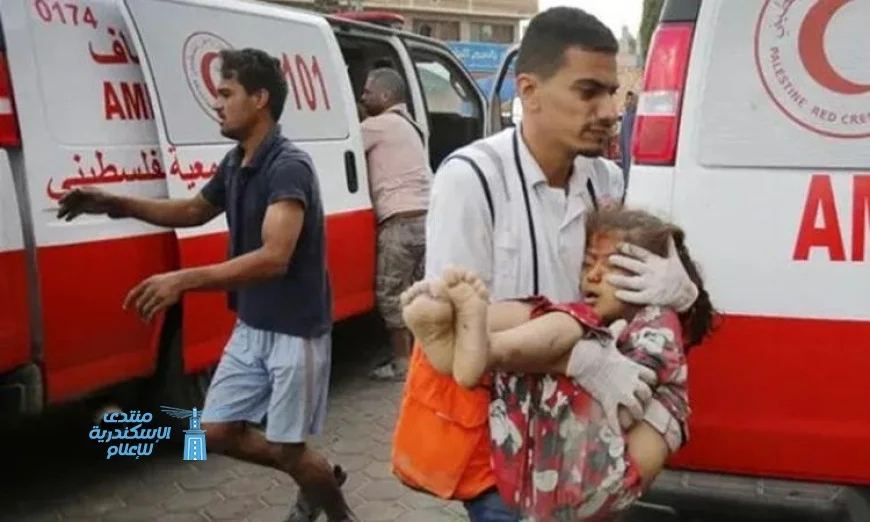 منظمة الصحة العالمية تطالب بإدخال الإمدادات الصحية الضرورية إلى قطاع غزة في أسرع وقت ممكن