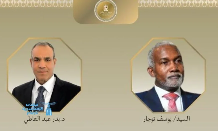 وزير الخارجية يستعرض خطط تعزيز التعاون الثنائي بين مصر ونيجيريا