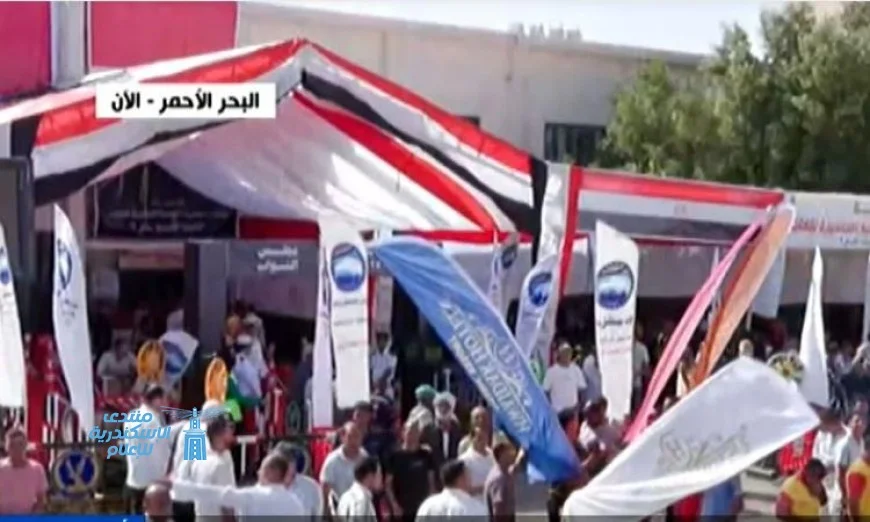 تدفق الناخبين على مراكز الاقتراع في انتخابات النواب بمحافظة البحر الأحمر