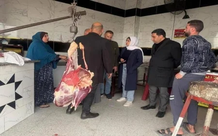 حملة تفتيشية مكبرة في مدينة الخانكة بقيادة نائب المحافظ لتعزيز الأمان والسلامة