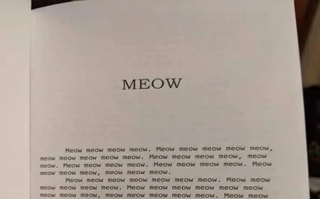 سيدة تتسبب في جدل واسع بعد شراء كتاب يحتوي على كلمة مياو لأطفالها بسعر 19 دولاراً
