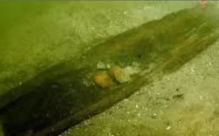 زوارق تعود لـ 5200 عام تكشف أسرار جديدة في أمريكا الشمالية